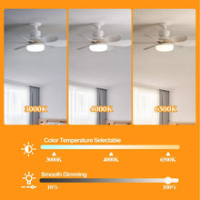 Ceiling Fan Light LED 30W 40W Simple Lights with E27 Remote Control for Home Living Room Study Household Decorative Fan Lighting