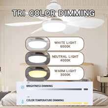 LED Ceiling Fan with Light and Remote Control 30W 40W Dimmable E27 Socket Ceiling Fan for Bedroom Living Room 6 Blades 3 Speed